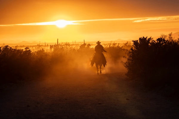 Sun-Drenched Cowboy Scented Aroma Beads