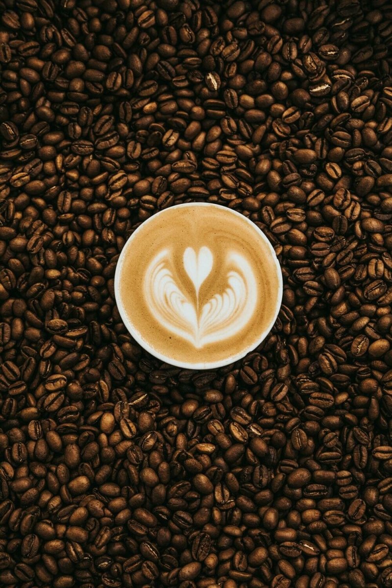 Starbucks aroma hot sale