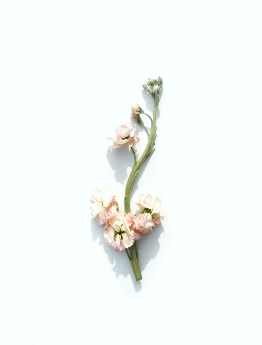 Sweet Grace (Type) Scented Aroma Beads - KMN Scented Aroma Beads