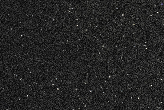 Black Shadow Fine Glitter